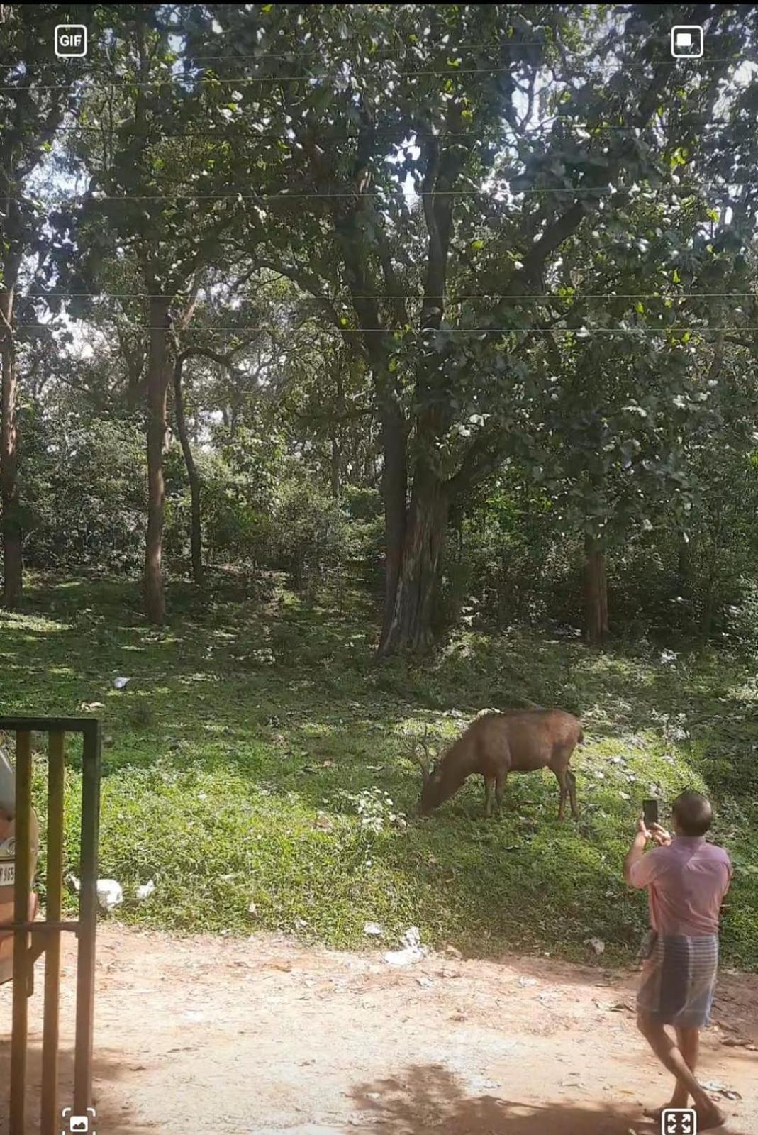 Wild Window - Forest View Homestay 提喀迪 外观 照片