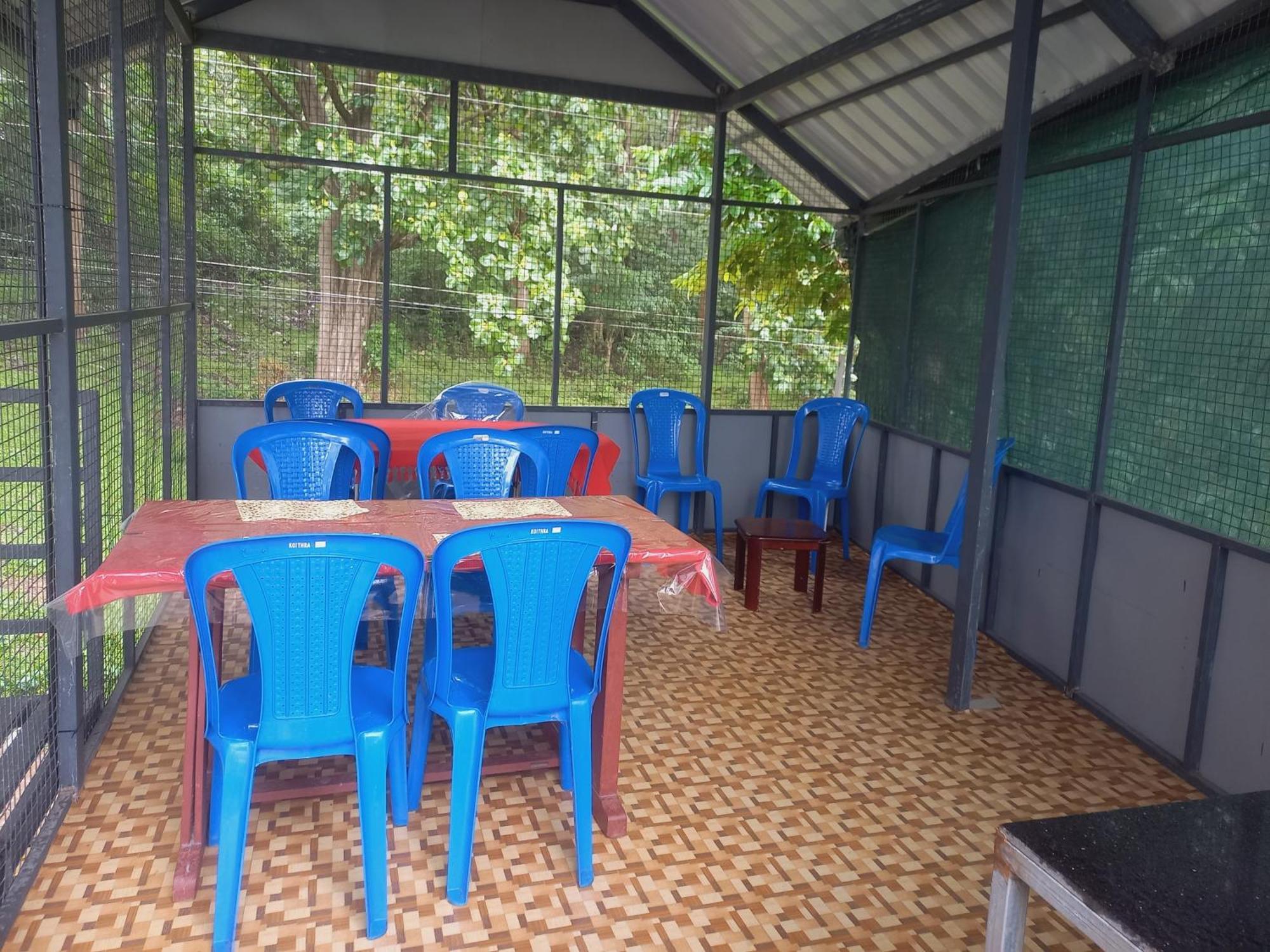 Wild Window - Forest View Homestay 提喀迪 外观 照片