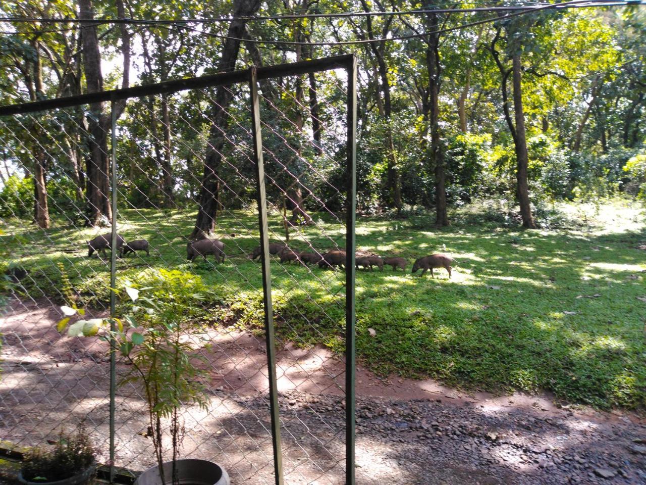 Wild Window - Forest View Homestay 提喀迪 外观 照片