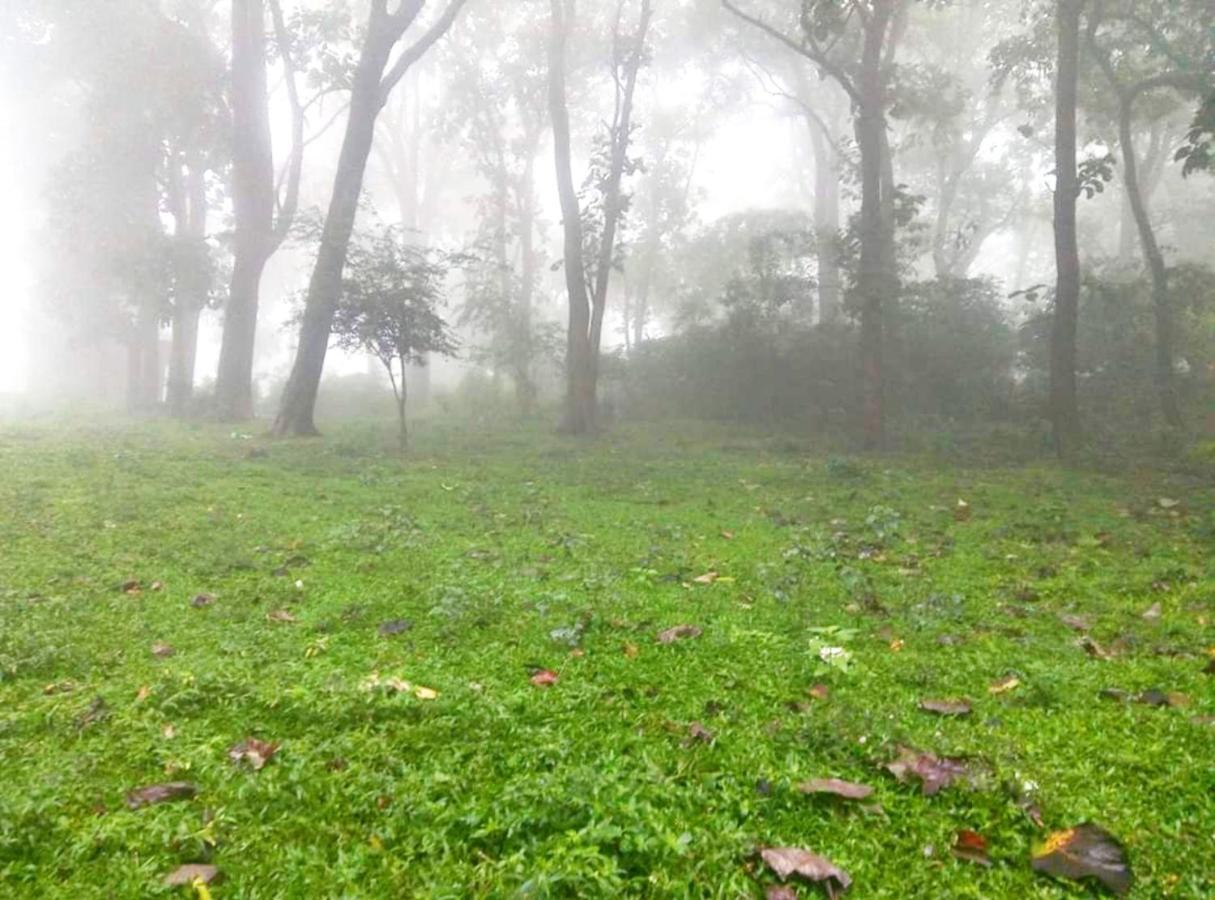 Wild Window - Forest View Homestay 提喀迪 外观 照片